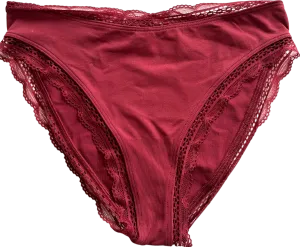 Anthropologie Burgundy Lace Trim Cheeky Panties UK XXS/XS