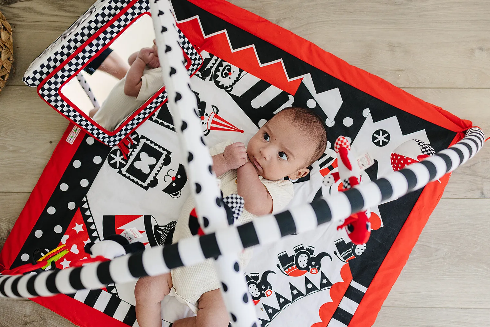 Baby Play Gym and Activity Mat