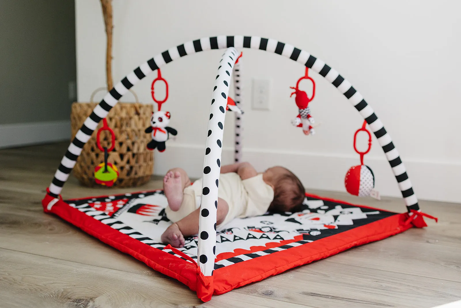 Baby Play Gym and Activity Mat