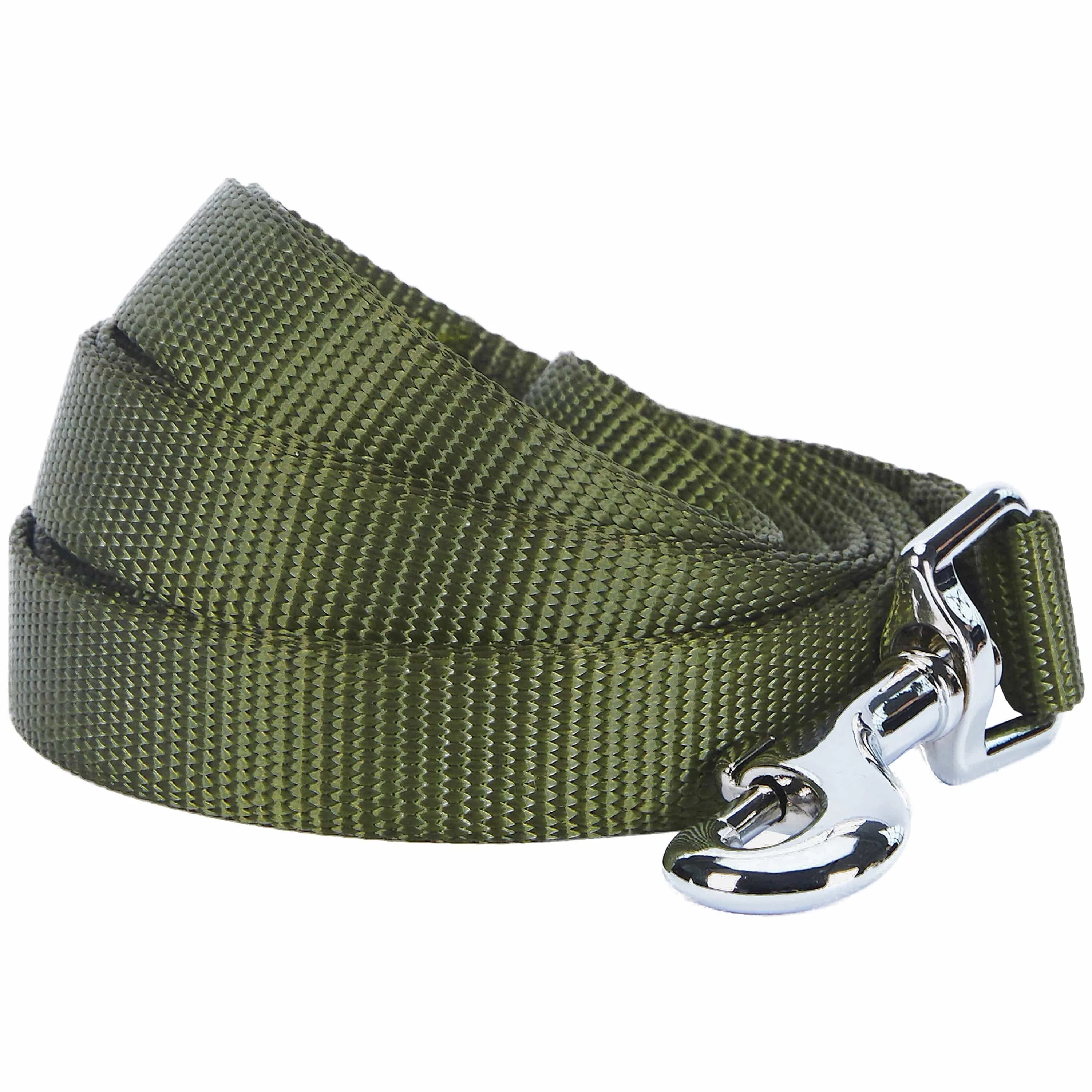 Classic Solid Color Dog Leash, Green