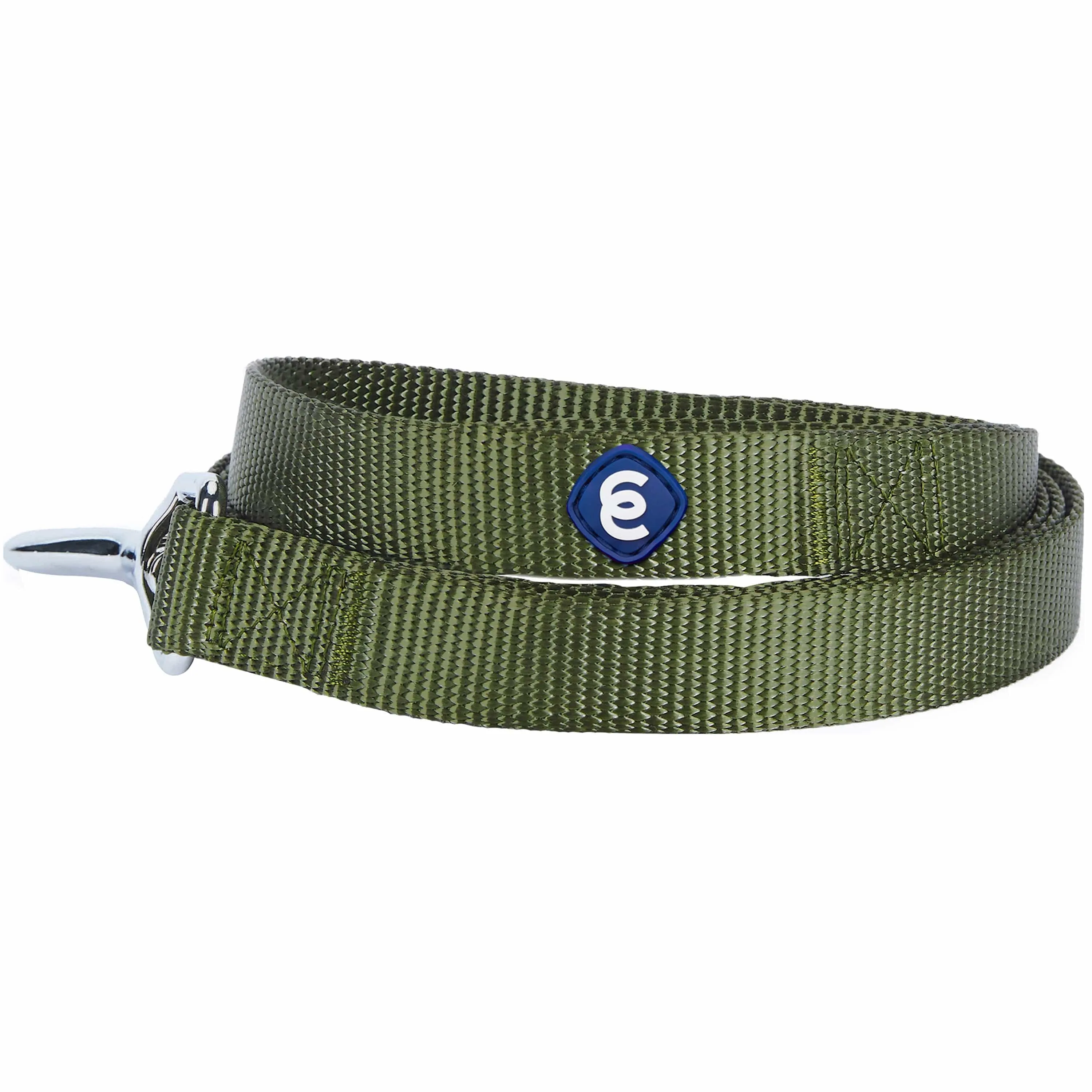 Classic Solid Color Dog Leash, Green