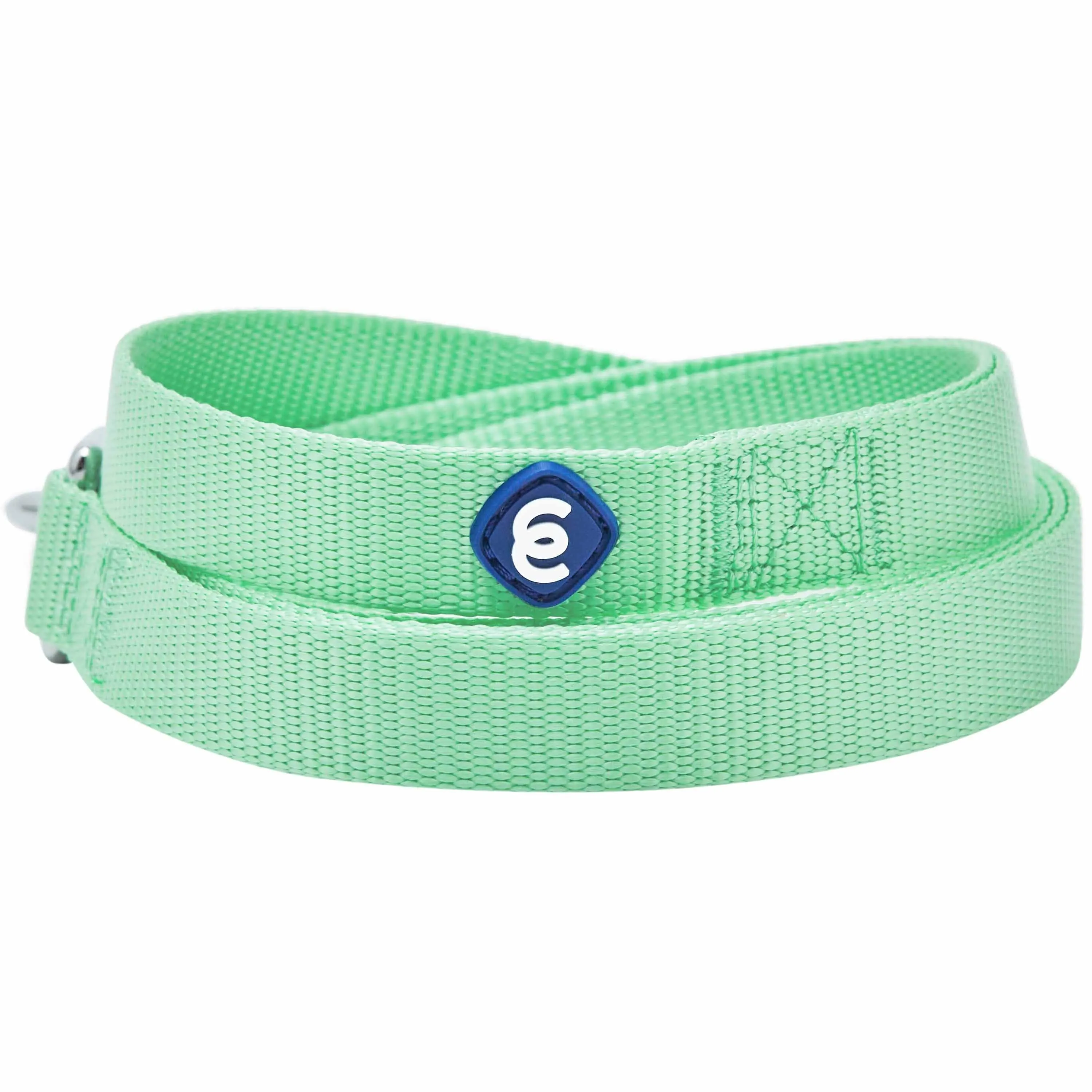 Classic Solid Color Dog Leash, Green