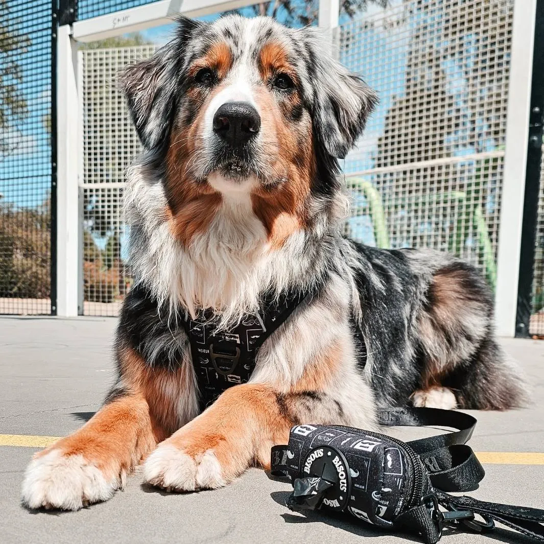 Dog Poop Bag Holder | Monsieur