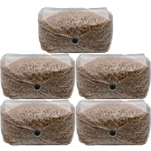 Rye Berry Bulk Substrate Grain Bags (25 lbs)