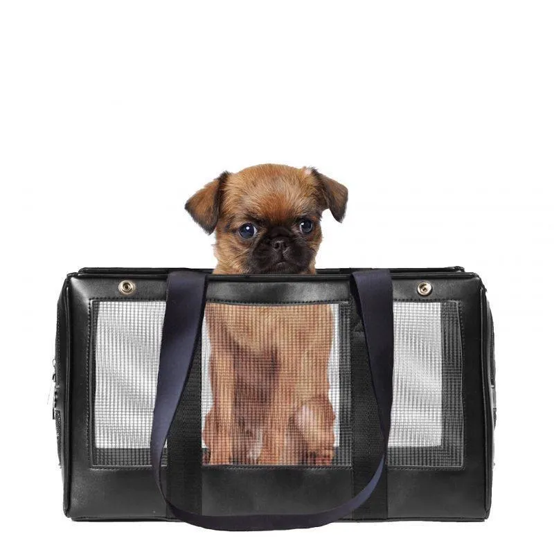 The Mesh Base Dog Carrier