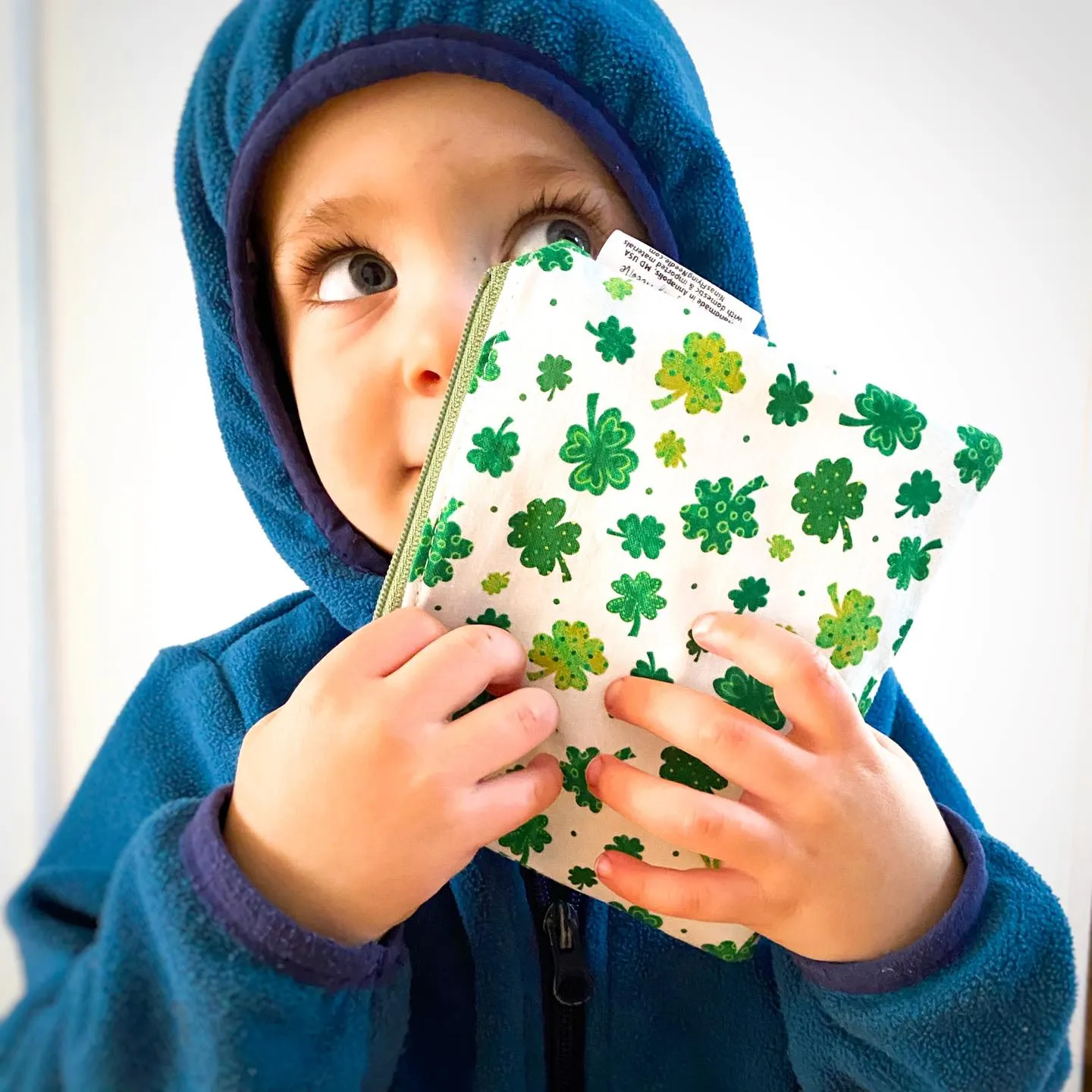 Toddler Sized Reusable Zippered Bag Building Bricks on White