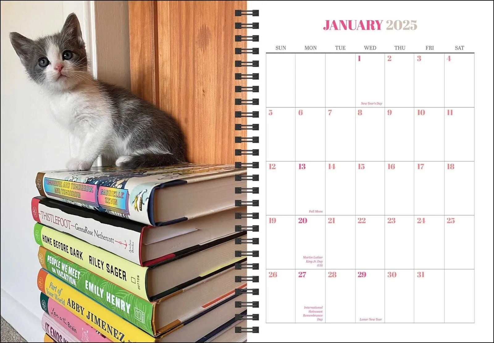 Universe Cats & Books 12-Month 2025 Planner Calendar